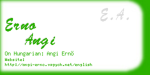 erno angi business card