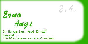 erno angi business card